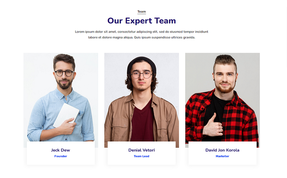 Our Expert Website Design Team is Ready to Train you on WordPress